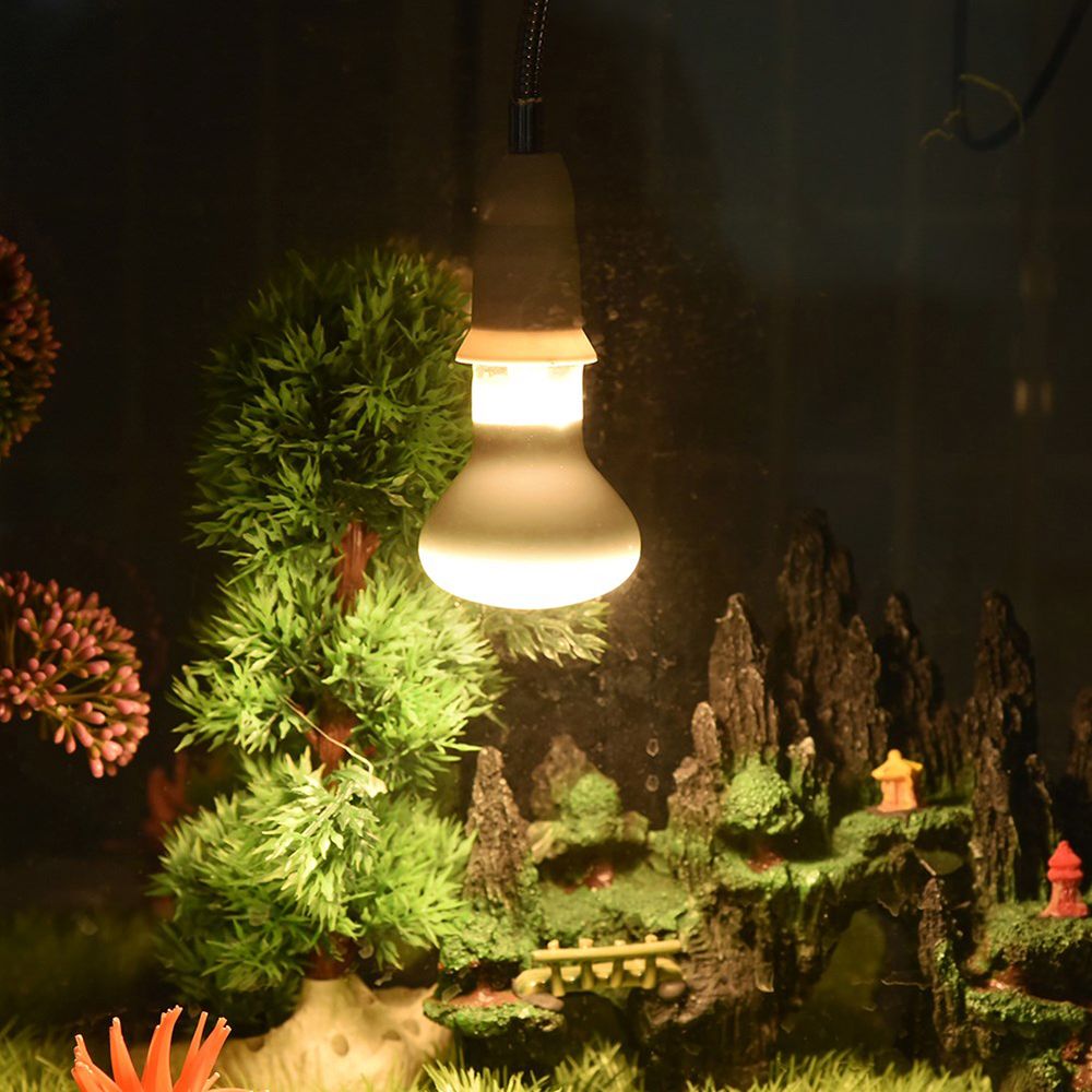 Amphibians Heater Temperature  - Basking Bulb Halogen ulasan dan harga