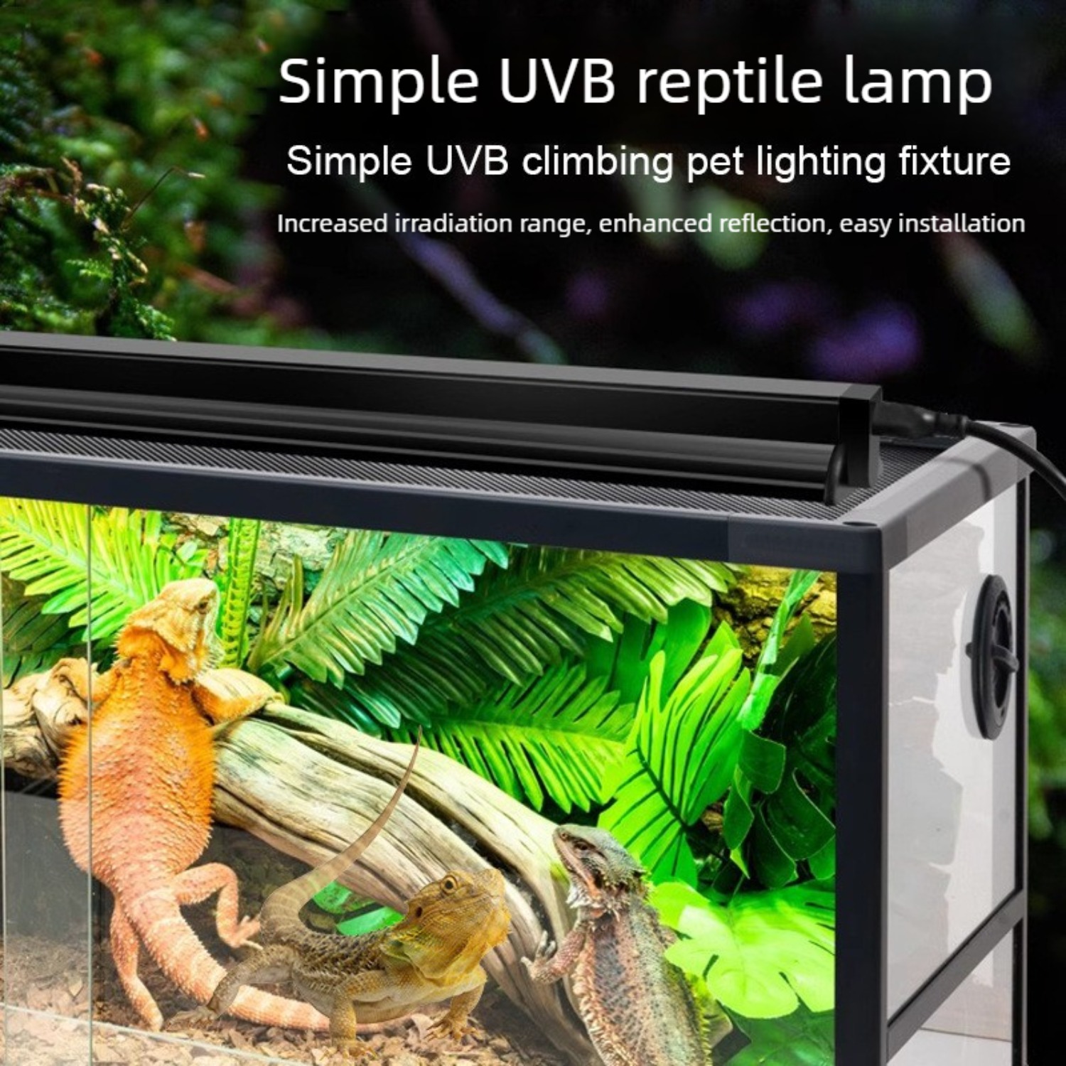 Reptile UVB Lamp Combo Kit UVA - Calcium Powder Reptile ulasan dan harga