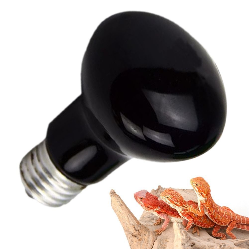Infrared Led Pet Heating Lamp  - Ceramic Heat Emitter ulasan dan harga