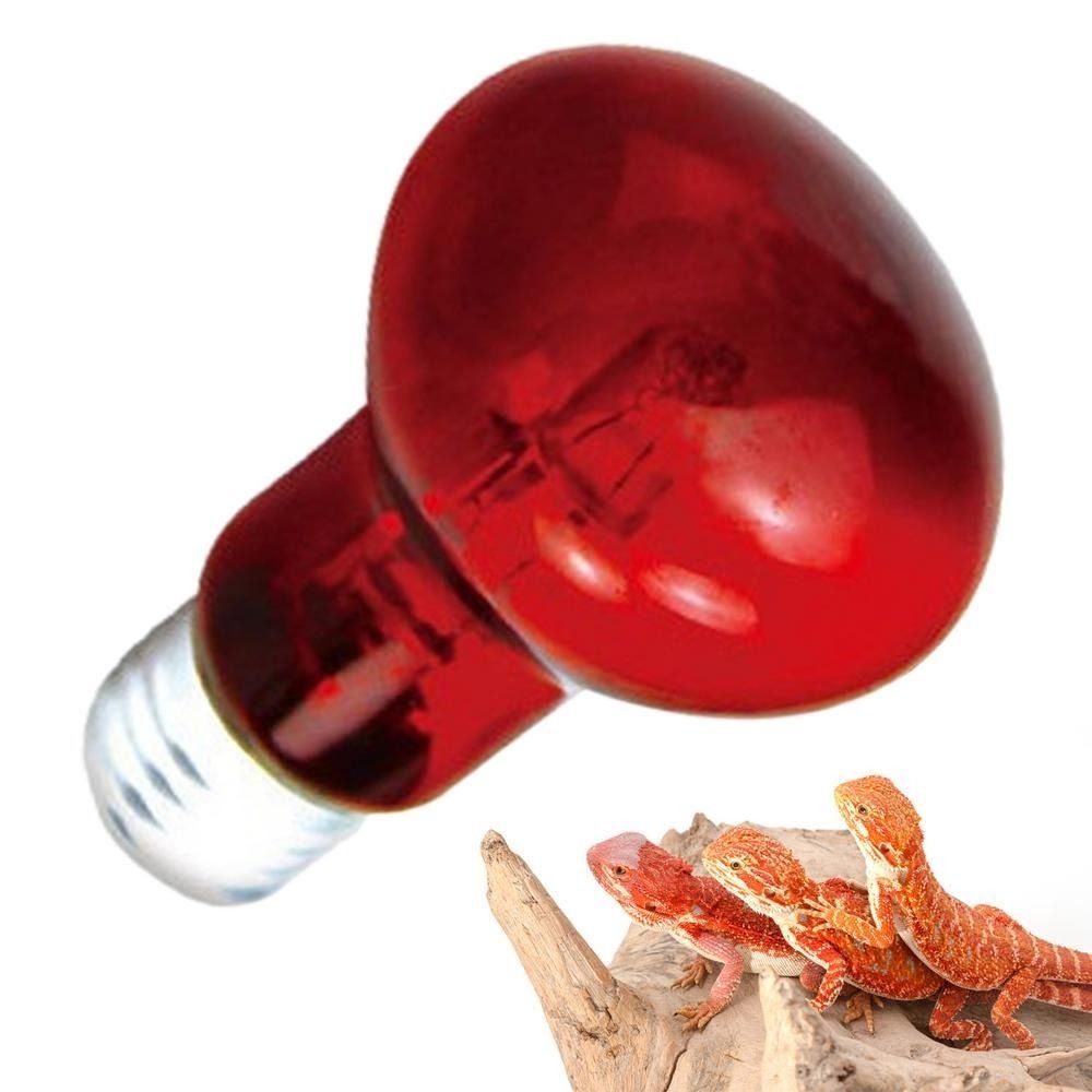 Infrared Led Pet Heating Lamp  - Ceramic Heat Emitter ulasan dan harga