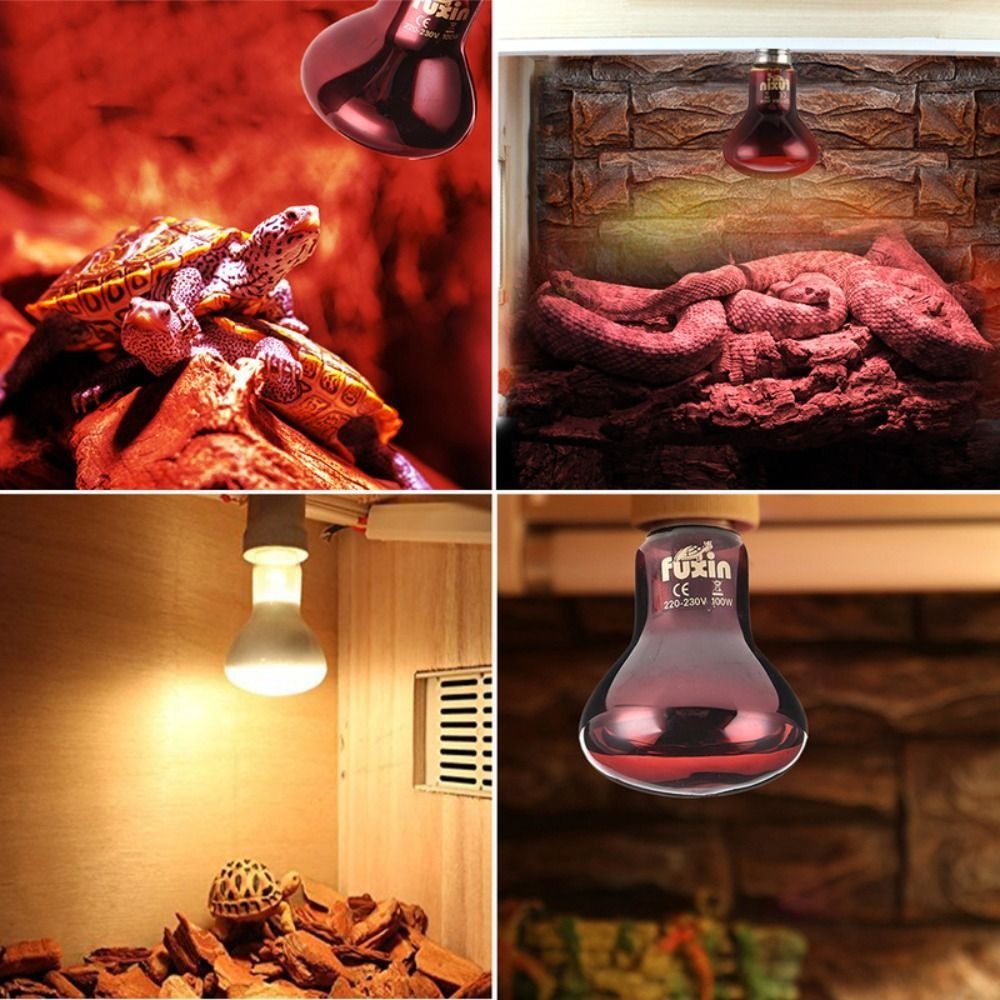 Infrared Led Pet Heating Lamp  - Ceramic Heat Emitter ulasan dan harga
