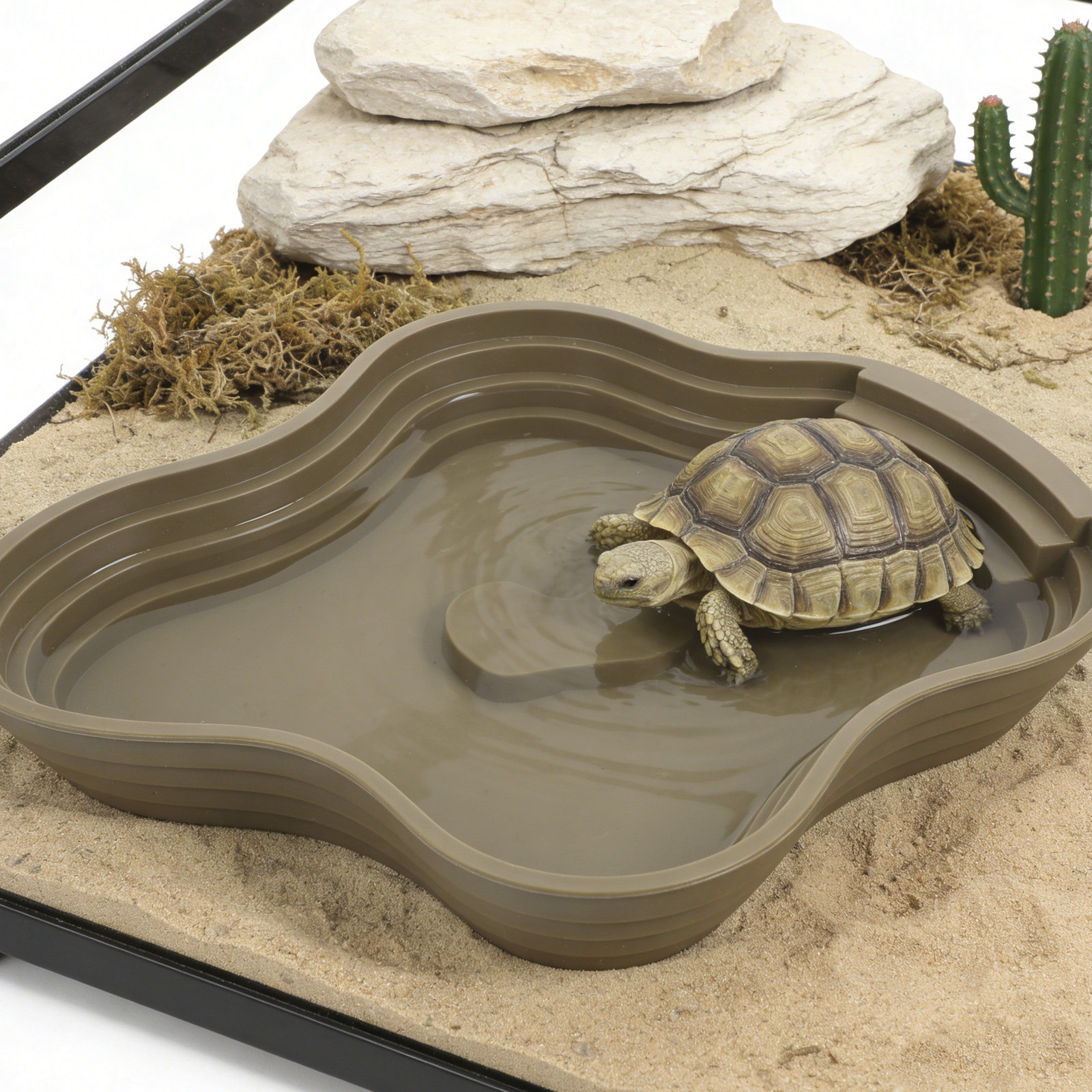 Large Turtle Reptile Bathing P - Water Dish Reptile ulasan dan harga