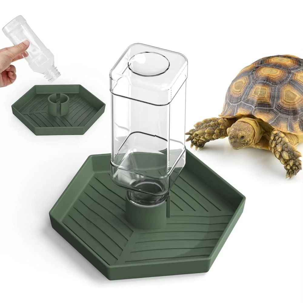 Turtle Food Bowl Anti-slip Rep - Water Dish Reptile ulasan dan harga