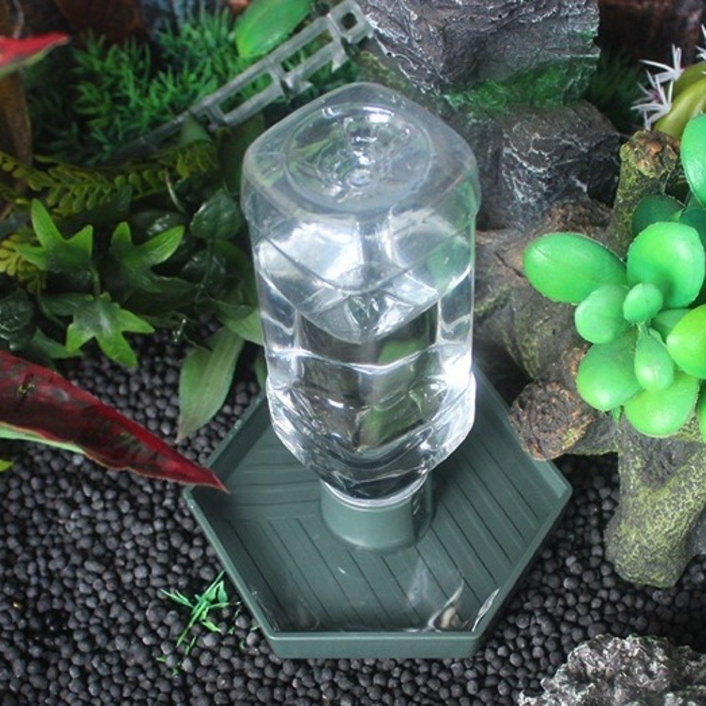 Turtle Food Bowl Anti-slip Rep - Water Dish Reptile ulasan dan harga