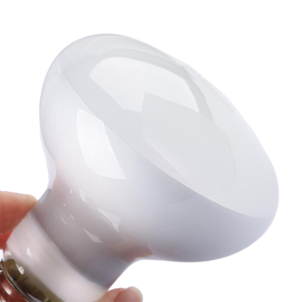 Amphibians Heater Heat Lamp UV - Basking Bulb Halogen ulasan dan harga