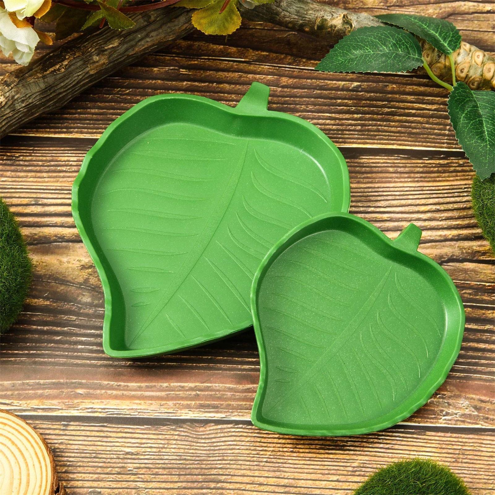 1pc Reptile Dish Flat Drinking - Water Dish Reptile ulasan dan harga