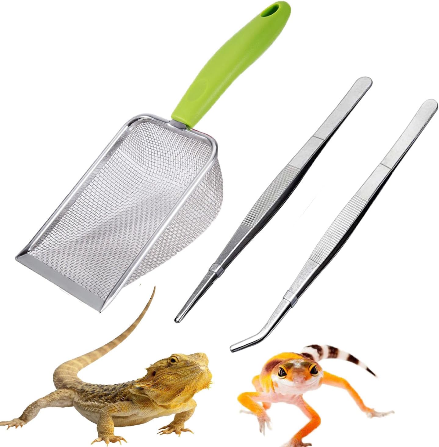 Reptile Sand Scoop Set - Fine  - Feeding Tong Stainless ulasan dan harga