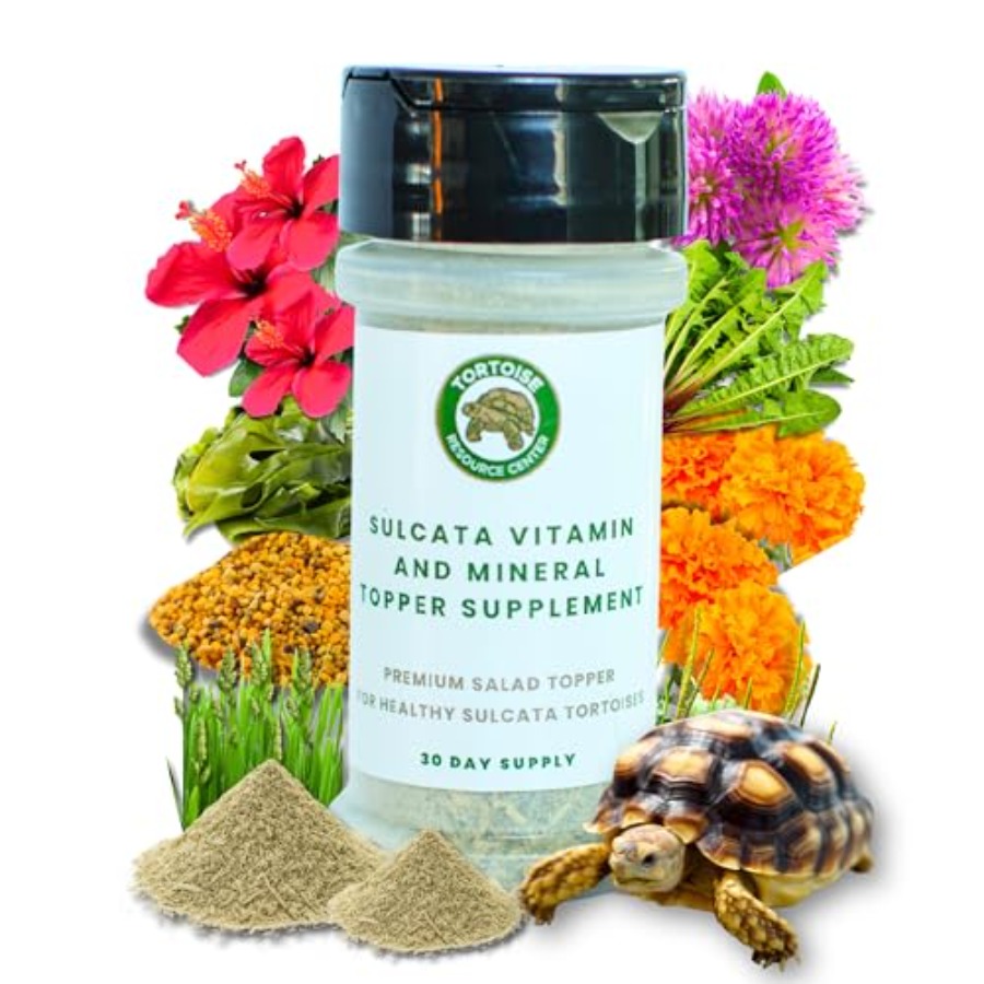 【Spot goods】Sulcata Tortoise C - Calcium Powder Reptile ulasan dan harga