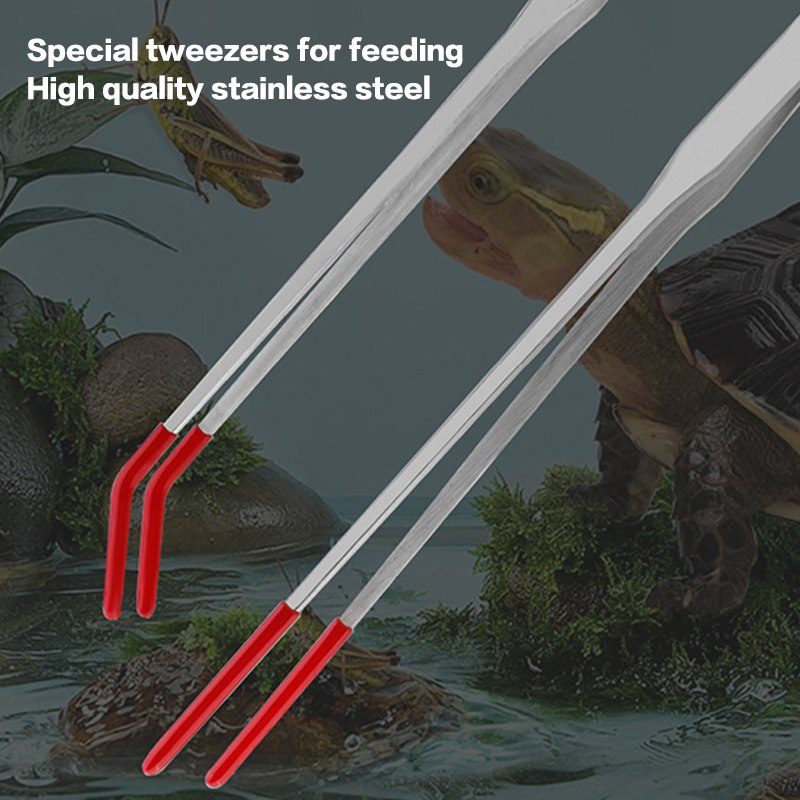 Fish Tank Cleaning Tools Snake - Feeding Tong Stainless ulasan dan harga