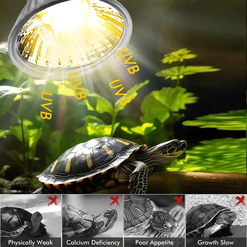 25/50/75W UVB Reptile Lamp Bul - Calcium Powder Reptile ulasan dan harga