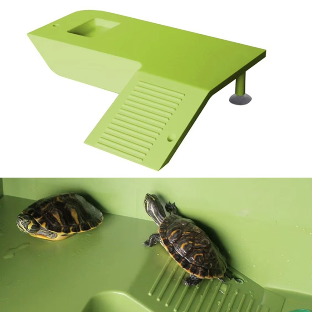 Water Land Slope Box Feeding C - Water Dish Reptile ulasan dan harga