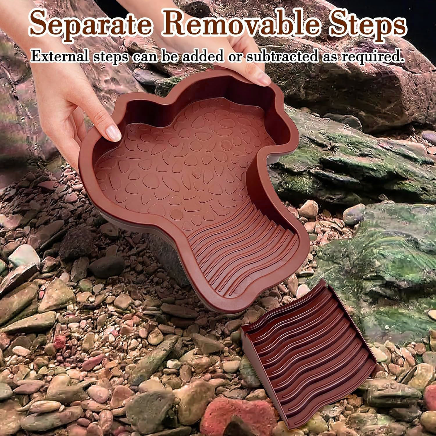 Reptile Bathing Pool with Ramp - Water Dish Reptile ulasan dan harga