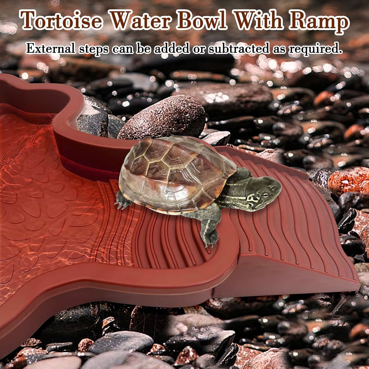 Reptile Bathing Pool with Ramp - Water Dish Reptile ulasan dan harga